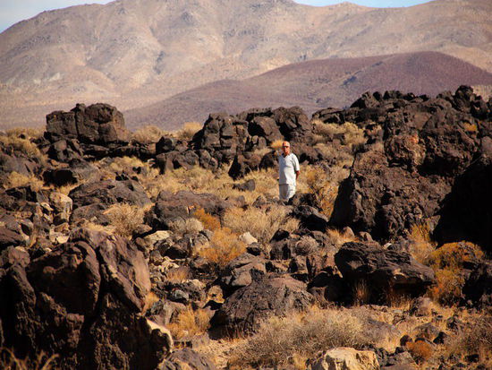 Ein Fossil unter vulkanischen Fossilien...