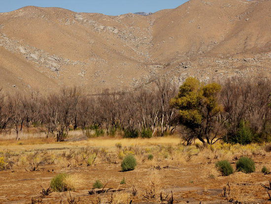 Relativ spät fahren wir heute los...; wir hatten einiges zu erledigen...! Vor 2 Jahren  musste der CP infolge eines Brandes evakuiert werden...
