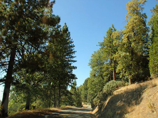 Wir fahren durch ein kurvenreiches Tal wieder hoch hinauf...
