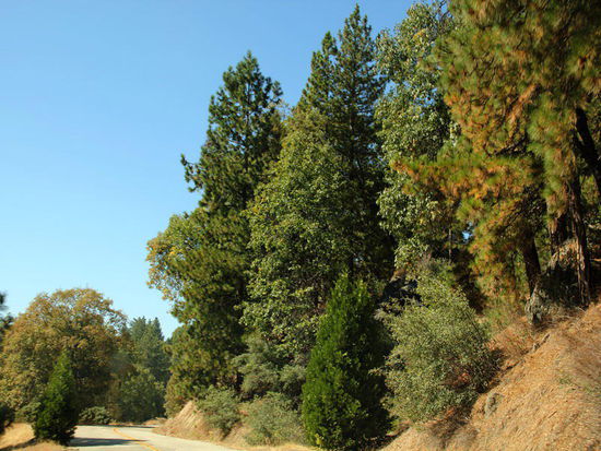 ...und sind total überrascht, wie grün und vielfältig es hier oben ist...