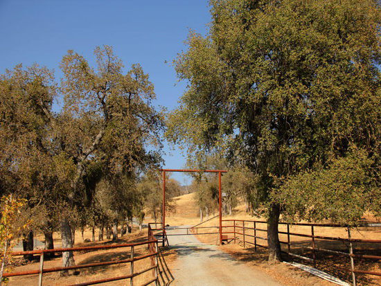 Vorbei an grossen Farmen...