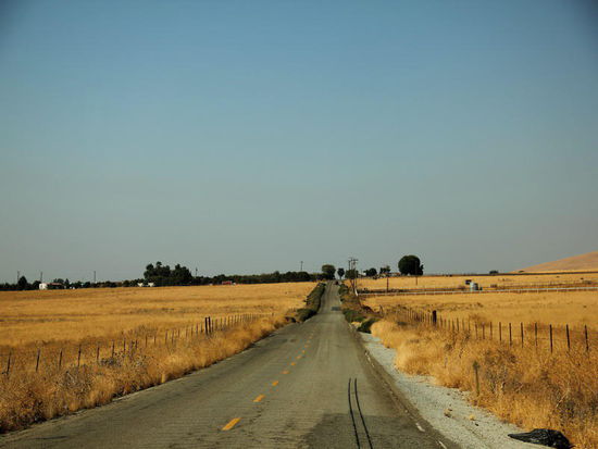 Ringsum ist alles trocken, ausgedorrt...