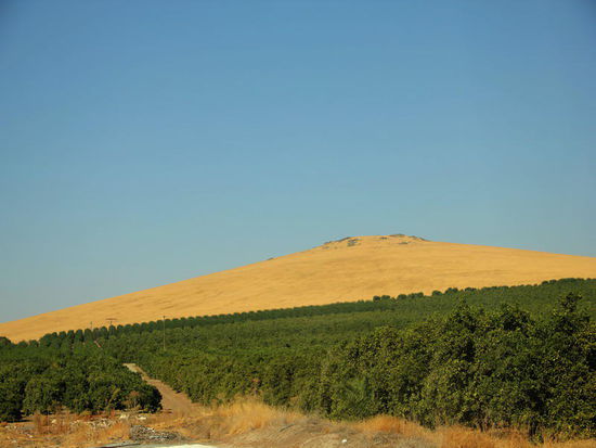 In der Talebene verändert sich das Bild nochmals - riesige Plantagen von Orangen und Zitronen werden hier bewässert...