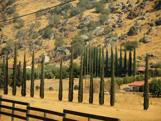 Rechtzeitig fahren wir heute los...; doch zuerst fahren wir nochmals nach Visalia...! Wir müssen unsere Auto-Versicherung für einen Monat erneuern...; ein Gesuch haben wir schon bei der letzten Versicherung gestellt, die haben uns aber mitgeteilt, dass das Minimum 3 Monate sei und wann wir denn in Mexiko einreisen möchten...? 
Gestern bin ich in einem Einkaufszentrum auf eine neue Idee gekommen und die wollen wir heute ausprobieren...! 
Also los, nochmals zum Center - rein ins Büro... und mal fragen kostet ja nix...!
Grosses Stirnrunzeln auf der andern Seite - wo wir denn wohnen würden? Fixe Adresse haben wir nicht, aber die nette Dame hat sehr spontan reagiert, als ich ihr sagte - sie könnte doch ihre Adresse reinschreiben...! 
Am Schluss gehen wir nach etlichen Telefonaten - was ist denn das nun für ein Auto? Camper, Van oder Wohnmobil? - mit einer neuen Versicherungspolice aus dem Büro: Kostenpunkt mit gleichen Leistungen - $ 490.- für ein ganzes Jahr an Stelle von $ 850.- für drei Monate bei der andern Gesellschaft...! (Nähere Auskunft nur per Mail...!)
So - nun aber los!