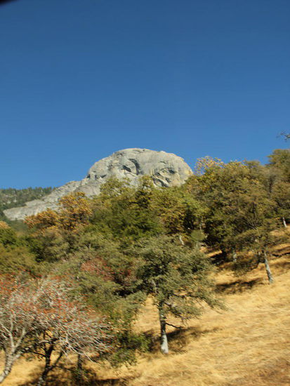 Zuerst besuchen wir die Tourist-Information... (?).. Eine Dame erklärt uns, ob wir zu den Mammutbäumen möchten...; dann sollen wir uns beeilen, es seien Bauarbeiten im Gange und wenn wir nicht oben seien, wenn der Pilot-Car vorfahre, müssten wir wiederum eine Stunde warten...; hopp - hopp...