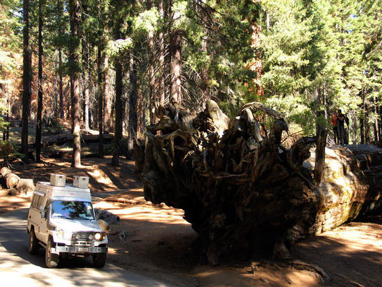 Grössenvergleich...!