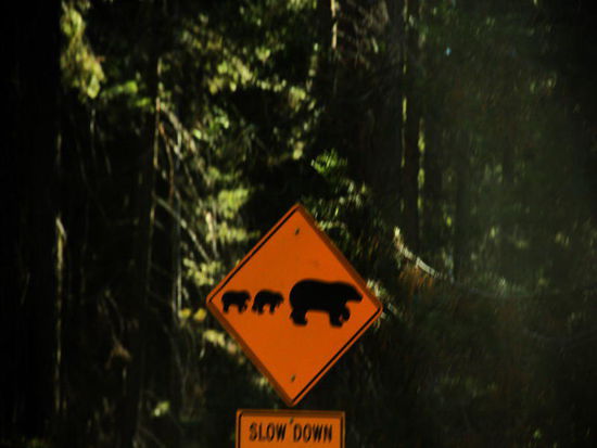 Ein neues Verkehrsschild...; gesehen haben wir keinen...