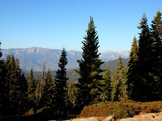 Blick hinüber zum Kings-Canyon...