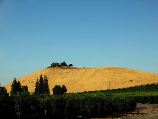 Unten die Plantagen, oben der exklusive Sitz...