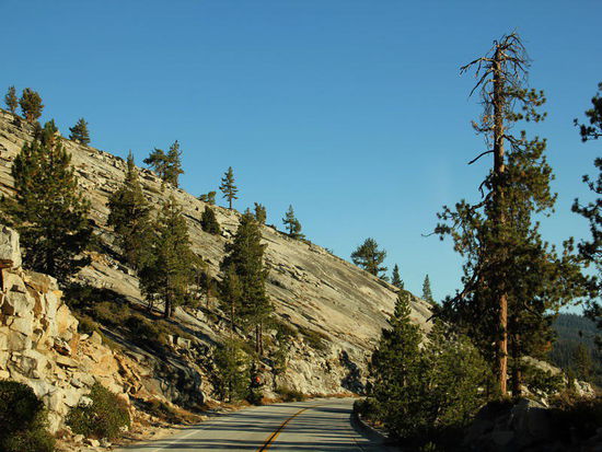 Mittlerweile fahren wir Richtung Tioga Pass (3000 m hoch glegen)...