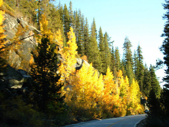 Der Spätherbst hält Einzug...