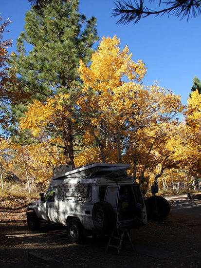 Es war eine kalte Nacht...; im Auto drin haben wir am Morgen noch       3 °C...!