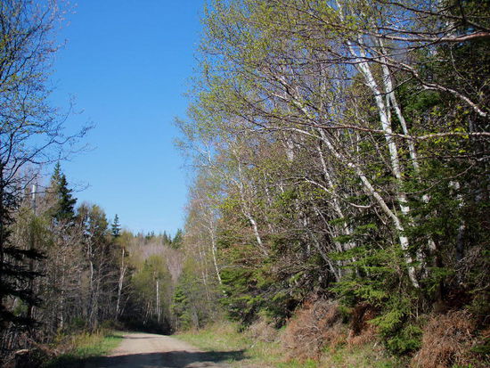 Wir verlassen unser einsames Camp bei North Shore und fahren auf dem Cabot Trail weiter... bei Ingonish decken wir uns mit Proviant für die kommenden Tage ein - wo wir landen werden, wissen wir im voraus nie ganz genau...! Der Weg ist das Ziel...