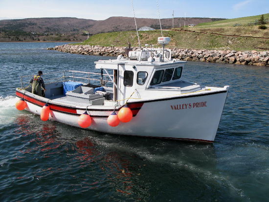 Im kleinen Hafen herrscht reger Betrieb, heute ist  Eröffnung der Hummerfang-Saison...