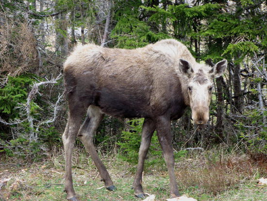 Sie nimmt kaum Notiz von uns...