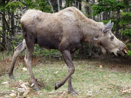 Wir sind ihr völlig schnuppe...