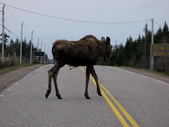 Und sie zieht gemächlich weiter...