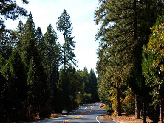 In Collin verlassen wir die Autobahn, tanken noch Diesel nach und fahren Richtung Grass Valley - einem Scenic Hwy. ...