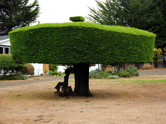 Ein wenig "crazy" sind sie schon, die Amis...; aber auch sehr nett und liebenswürdig...