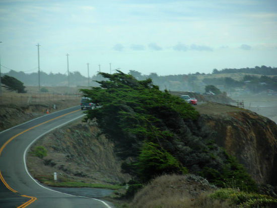 Von daher pfeift der Wind...