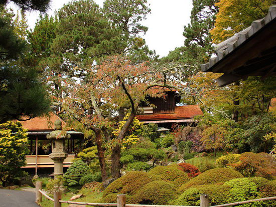 Im Japanischen Garten...