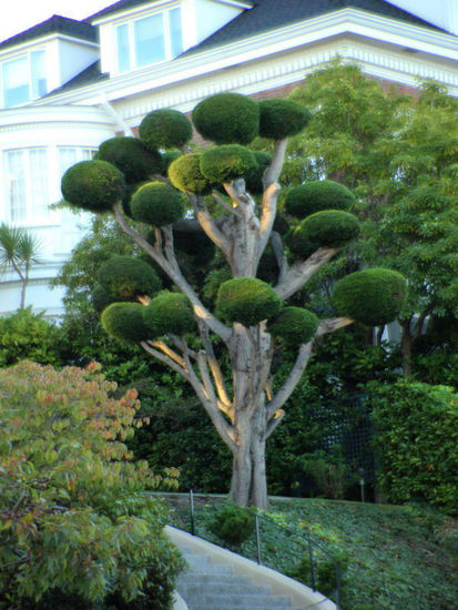 Der Einfallsreichtum der Gärtner...