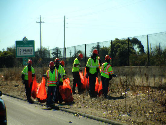 Obwohl für Littering $ 1000.- Busse angedroht ist - eine Putzkolonne entlang der Autobahn... 