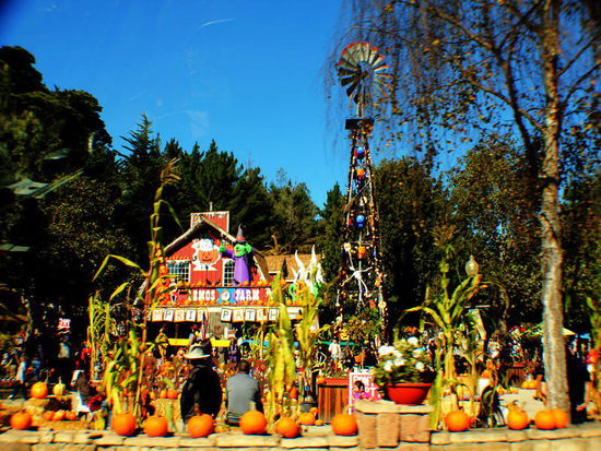 Kürbis-Ausstellung und Markt...; es ist ja schliesslich Halloween-Zeit...