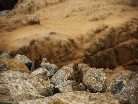 Sie lassen sich gut fotografieren...