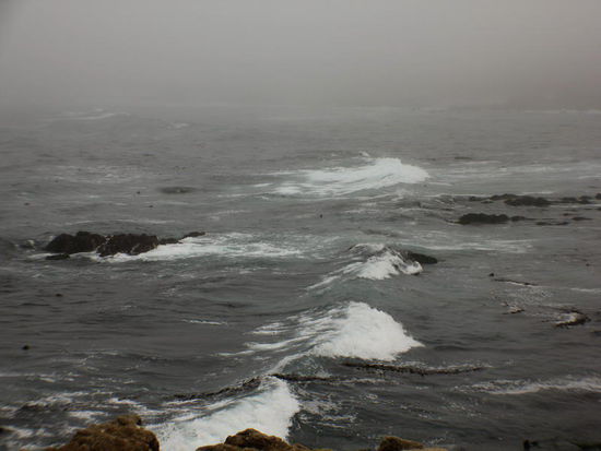 Leider ist die Seelöwenkolonie zu weit entfernt... - und im Nebel schlecht sichtbar...
