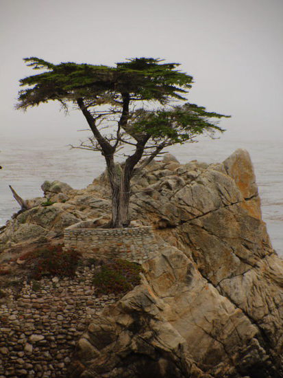 An dieser Strecke sind viele tolle Villen an schönster Lage gebaut...