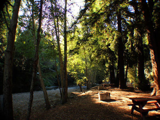 In Big Sur finden wir an diesem Flüsschen einen ruhigen CP...