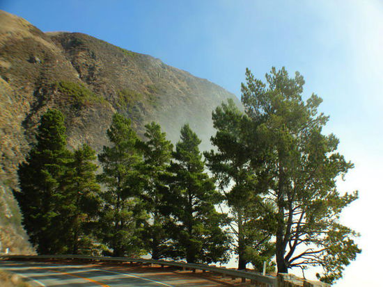 Wir fahren dem Los Padres National Forest entlang...