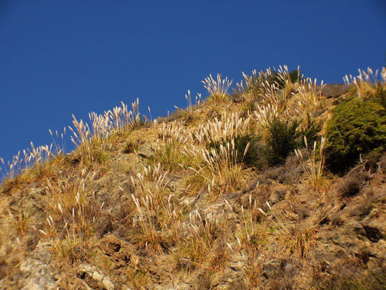 Über 100 m meist purer Sonnenschein und stahlblauer Himmel...