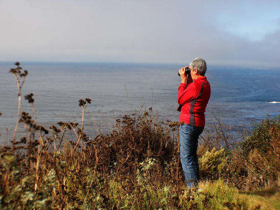 Ausschau nach wilden Tieren....
