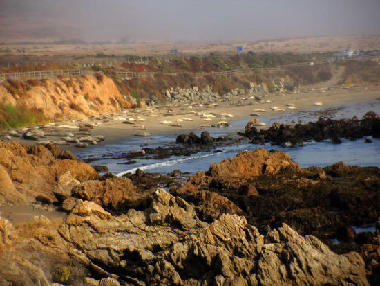 Und da liegen viele, viele an der warmen Sonne....