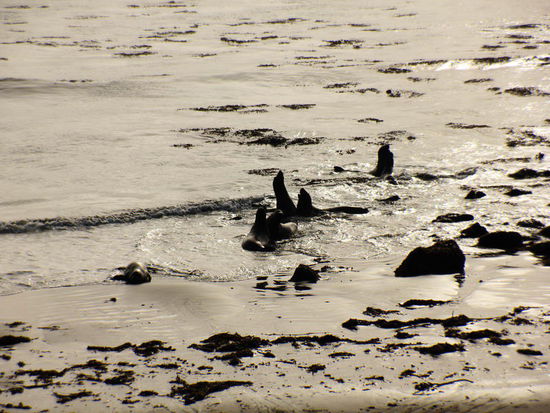 Sie üben unverdrossen weiter...