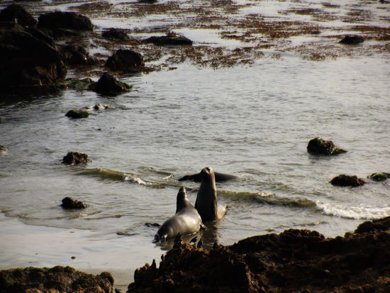 Wir könnten dem bunten Geschehen noch lange zuschauen, doch die Zeit drängt zum Aufbruch...