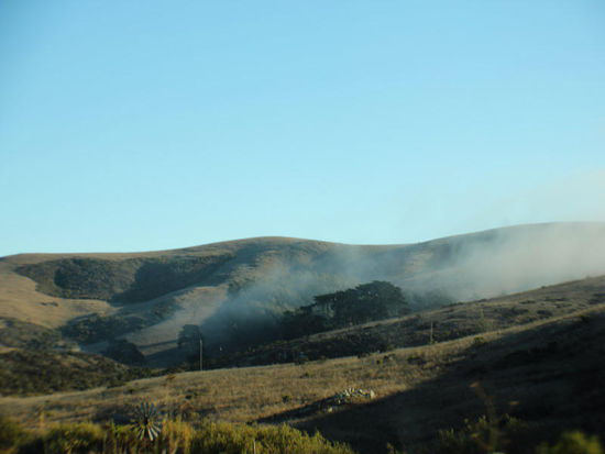 Und auch die Nebel steigen wieder...; in San Luis Obispo finden wir einen CP und verbringen eine ruhige Nacht...