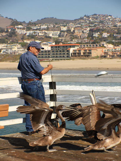 Ach so, da gibt es "fliegende Fische"...