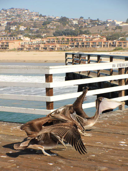 Glücklich der Gewinner...
