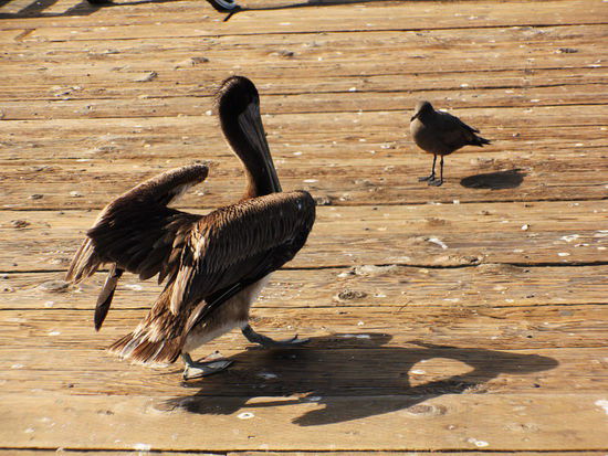 Freundschaftliche Begegnung...