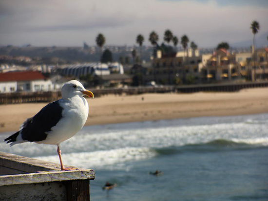 Hätt' ich auch gerne...