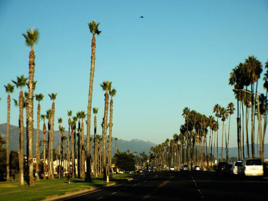 Die Küstenstrasse nach Süden...; auf dem örtlichen ? haben wir uns nach einer Übernachtungsmöglichkeit erkundigt...; wir müssen etwa 10 Meilen aus der Stadt rausfahren...