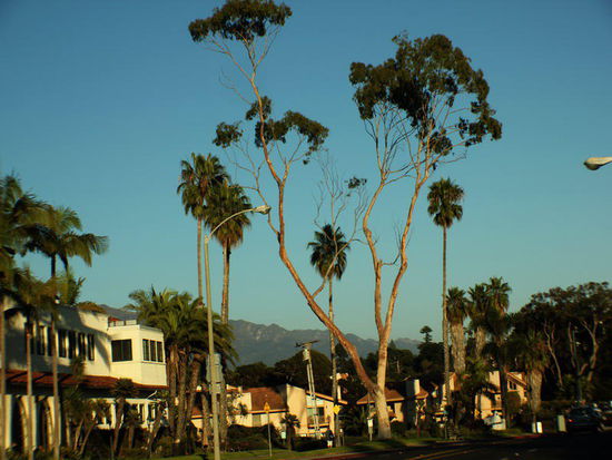 In Carpinteria finden wir einen Stellplatz auf einem State Park...