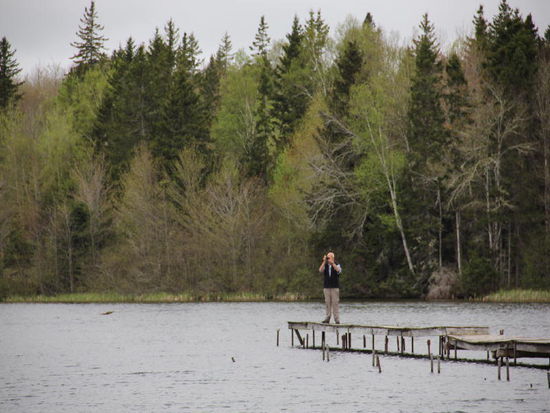 Etwas wacklig der Steg, aber er hält...
