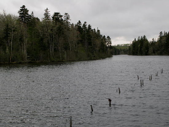 Der See zum Fischen...