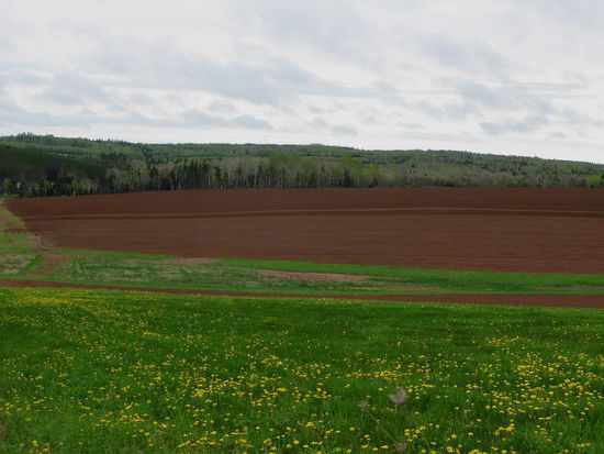 Vorbei an grossen Feldern...