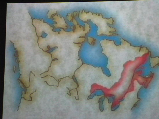 Deise Gebiete waren von einer Annektierung durch die Vereinigten Staaten Amerikas bedroht...