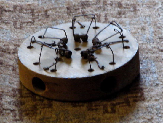 Mit Speck fängt man Mäuse... - ob das hier in der Politik gilt...? (Originalmäusefalle!)